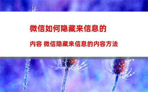 怎么隐藏QQ微信图标 隐藏QQ微信图标的步骤