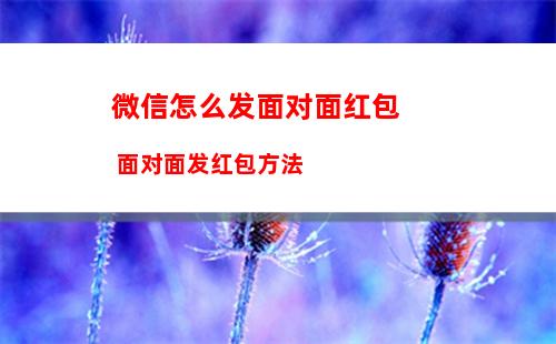 怎么注册开通微信地铁乘车码 注册开通微信地铁乘车码方法