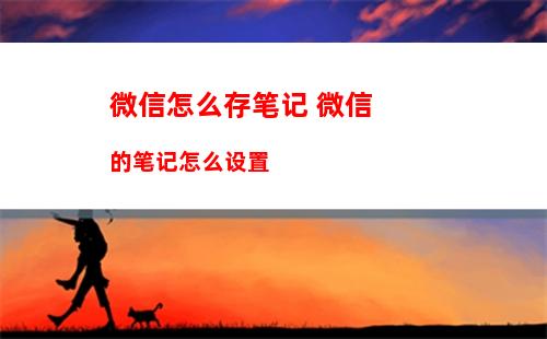 微信语音通话免打扰在什么地方 微信语音通话免打扰设置方法