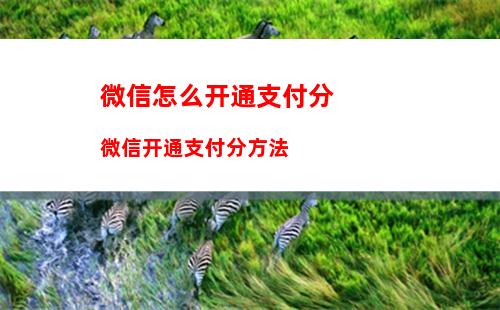 苹果13微信视频怎么美颜 苹果13微信视频美颜方法