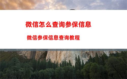 如何设置微信读书语速 微信读书语速设置方法