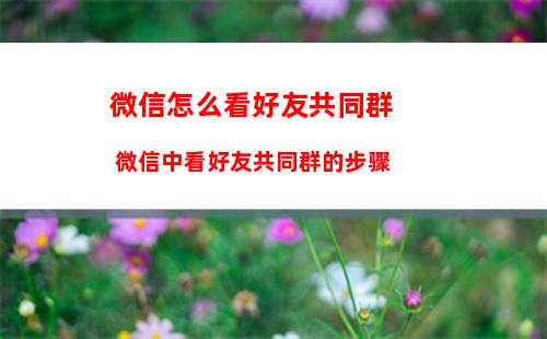 怎么取消微信订阅号消息推送 取消微信订阅号消息推送方法