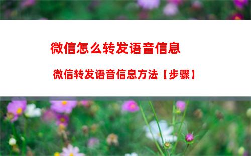 微信聊天窗口怎么查看个人状态 微信聊天窗口查看个人状态方法