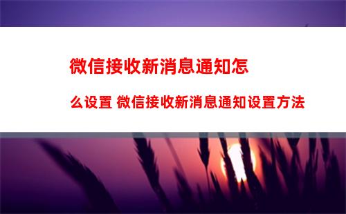 微信运动步数怎么打开 微信运动步数打开方法【步骤】