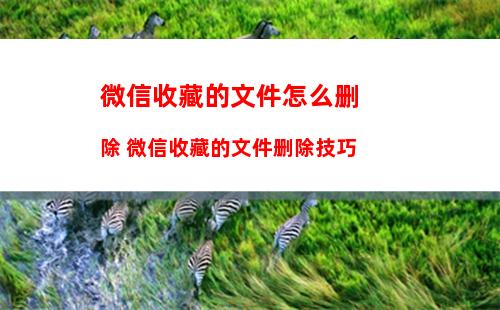 微信朋友圈的个性签名怎么设置 微信朋友圈的个性签名设置方法