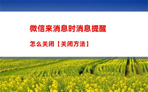 爱奇艺如何绑定微信进行登录 爱奇艺绑定微信进行登录方法