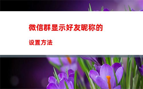 微信视频号原声怎么拍视频【方法分享】