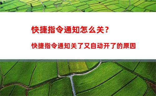 越狱商店Cydia创建者起诉苹果 遭法官驳回