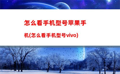 苹果除了系统那里有vivo好