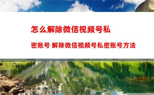 钉钉上的文件怎么发到微信上 钉钉上的文件传到微信上方法