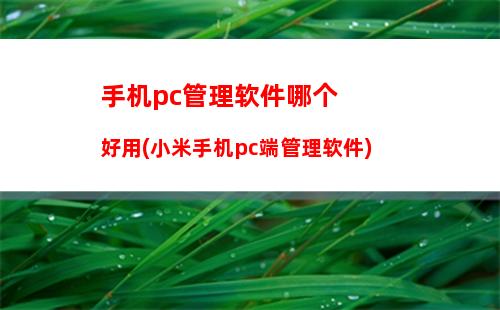 苹果6与小米5哪个好看(苹果手机和小米手机那个拍照好看)