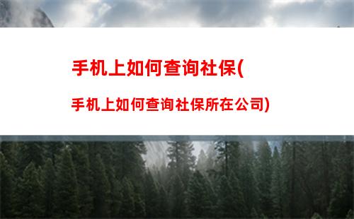 微信账号资料在什么地方 微信账号资料位置