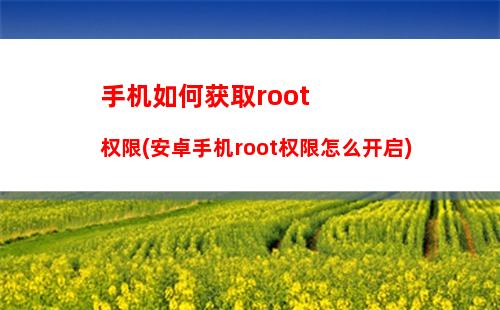 手机如何获取root(oppo手机如何获取root)