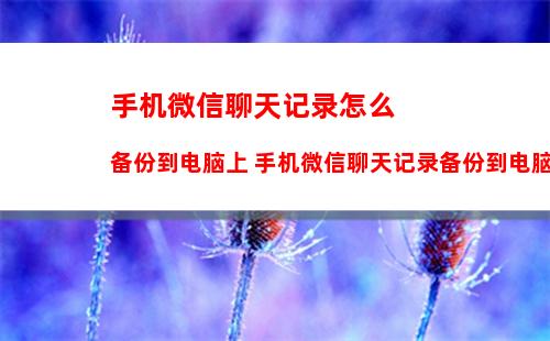 微信怎么取消置顶聊天 微信取消置顶聊天方法【详细步骤】