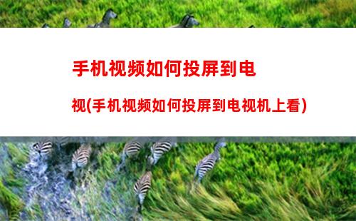 手机锁屏如何设置(手机锁屏如何设置动态壁纸)