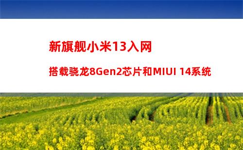 微信怎么查全国新型肺炎实时动态？实时更新！