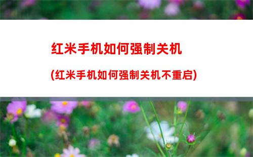 OPPO手机如何恢复出厂(oppo手机如何恢复出厂设置忘记密码)