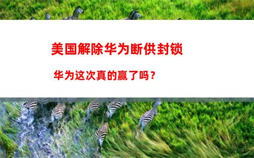 欧洲最大云服务公司起火 数百万网站瘫痪