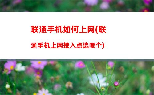 苹果手机如何分享软件(苹果手机如何分享软件链接)