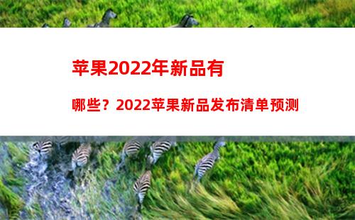 苹果CEO库克：对iPhone 12和中国市场非常有信心