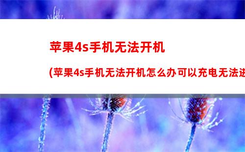 新苹果手机不插卡可以开机吗(新苹果手机已插卡但显示无服务怎么回事)