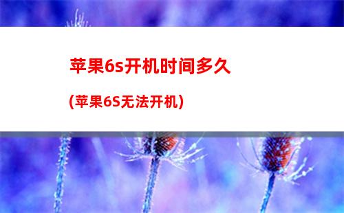 苹果6死机后无法开机(苹果6死机黑屏开不了机)