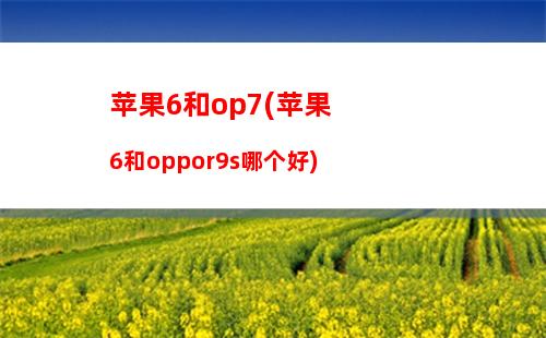 OPPO9007和苹果6哪个好