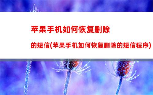 如何彻底删除苹果手机短信(如何彻底删除苹果手机短信息这个app)