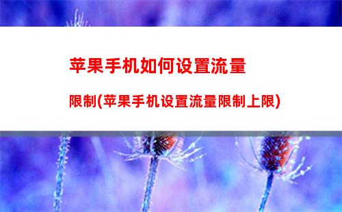 苹果手机如何拦截短信(苹果手机如何拦截短信关键字)