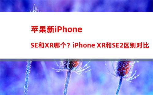 苹果新专利曝光：iPhone继续测试光学屏下指纹技术