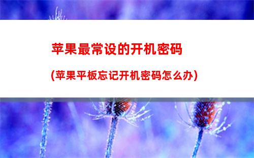 苹果笔记本开机白屏进不了系统(苹果笔记本开机白屏文件夹问号)