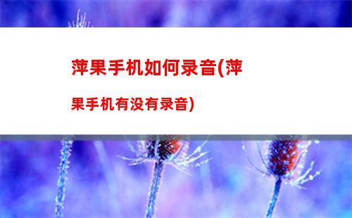 苹果手机如何检测电池(苹果手机如何检测电池换没换过)