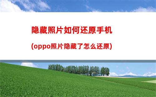 老板oppo手机如何录(OPPO手机如何录)