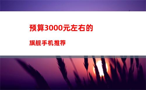 000元以内的手机哪款性价比更高"