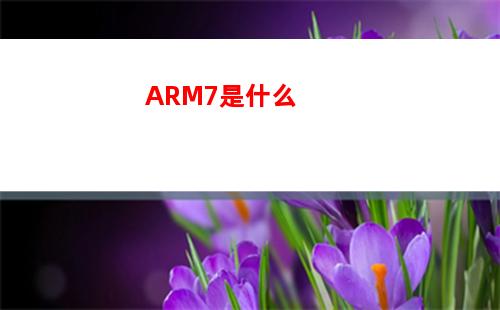 ARM7是什么