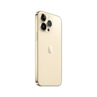 Apple iPhone 14 Pro Max (A2896) 256GB 金色 支持移动联通电信5G 双卡双待手机【大王卡】