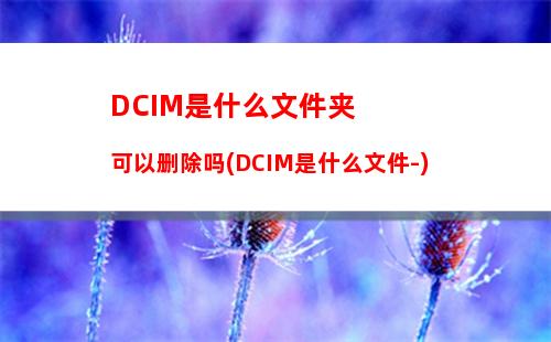 DCIM是什么文件夹可以删除吗(DCIM是什么文件-)