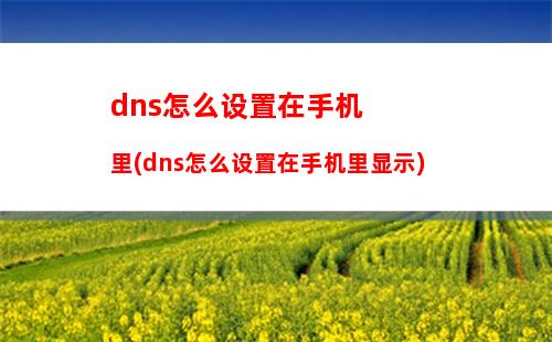 dns怎么设置在手机里(dns怎么设置在手机里显示)