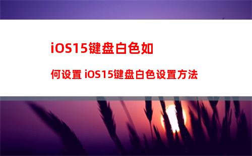 苹果iPhone手机怎么开通自动充值 Apple Pay上海交通卡方法教程