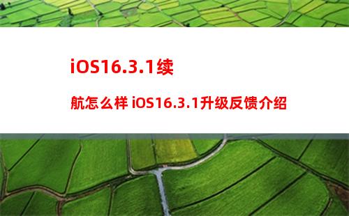 苹果14pro如何区分大陆和国外版本 iphone14pro区分大陆和国外版本方法