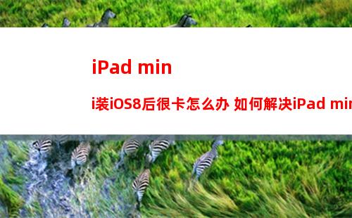 iPad mini装iOS8后很卡怎么办 如何解决iPad mini装iOS8后很卡