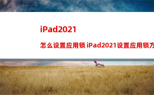 iPad2021怎么设置应用锁 iPad2021设置应用锁方法