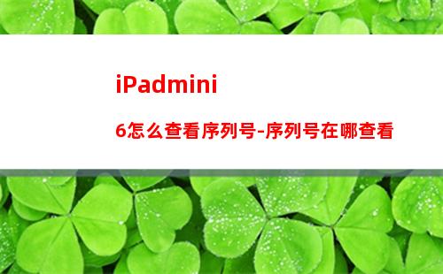 iPadmini6怎么查看序列号-序列号在哪查看