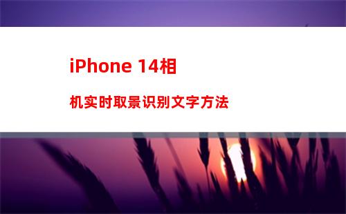 苹果iPhone14锁屏轮换壁纸怎么设置 苹果iPhone14锁屏轮换壁纸设置方法