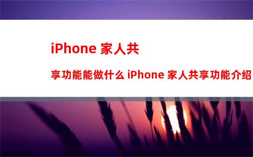 如何查看iPhone 13手机有几个人连接了热点 查看iPhone手机几个人连接了热点方法