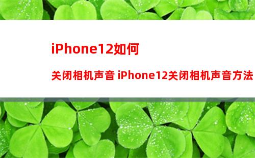 为什么在iPhone中删除的照片在iPad上也消失了