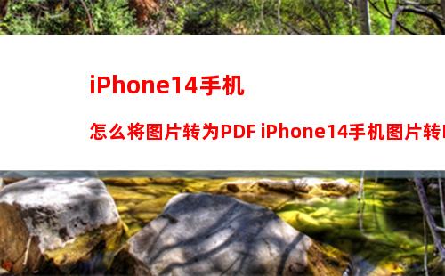 iPhone14怎么在safari浏览器中搜索关键词【详细介绍】