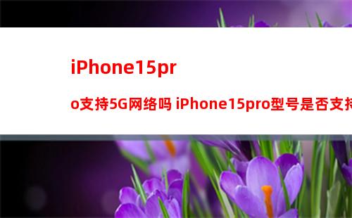 iphone15系列多少钱 iphone15系列价格爆料最新
