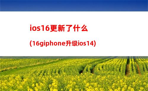 ios16更新了什么(16giphone升级ios14)