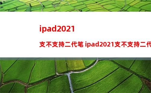 ipad2021支不支持二代笔 ipad2021支不支持二代笔介绍
